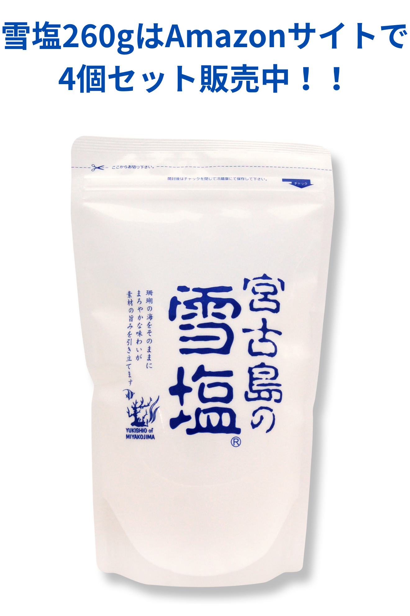 雪塩 パウダータイプ